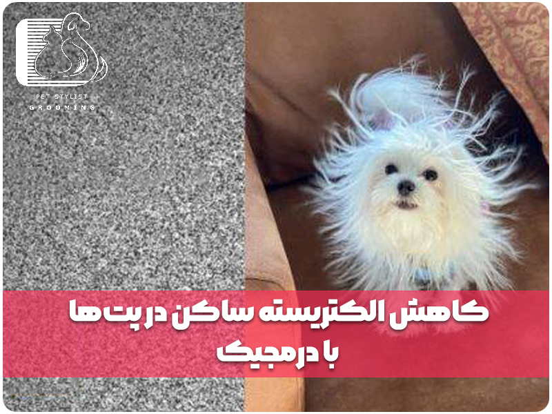 کاهش الکتریسته ساکن در پت‌ها با درمجیک